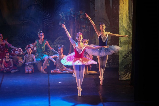 SEGREDOS DA FLORESTA