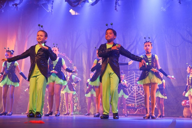 SEGREDOS DA FLORESTA