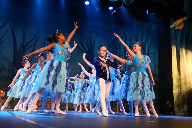 SEGREDOS DA FLORESTA