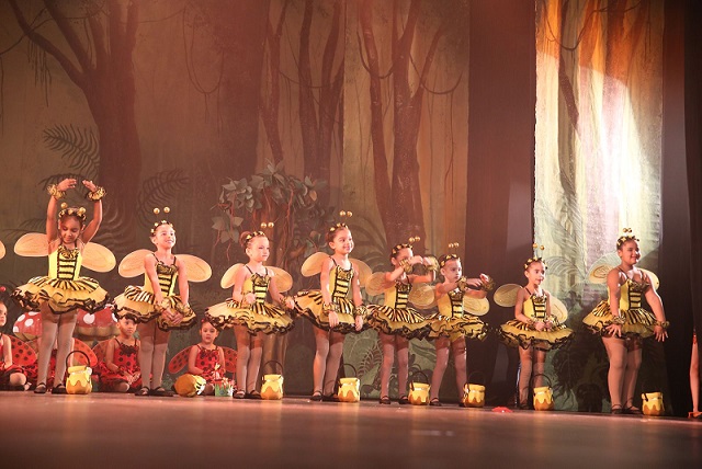 SEGREDOS DA FLORESTA