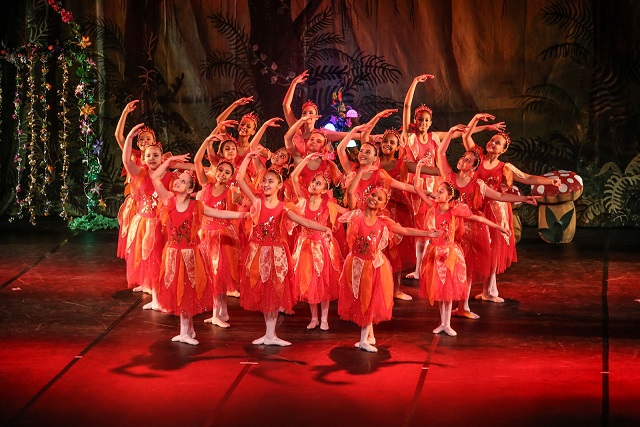 SEGREDOS DA FLORESTA